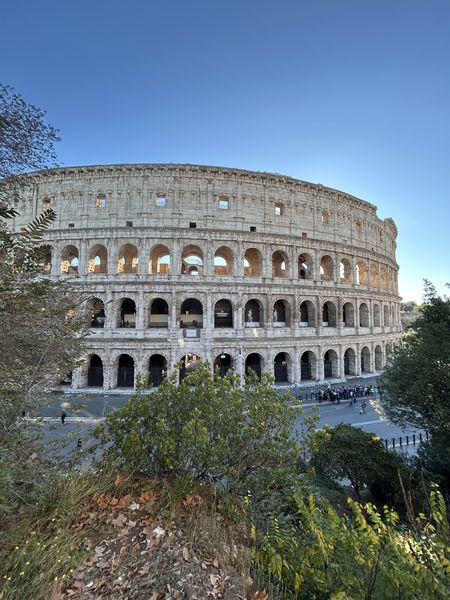 Bettina Trapl (253).jpg