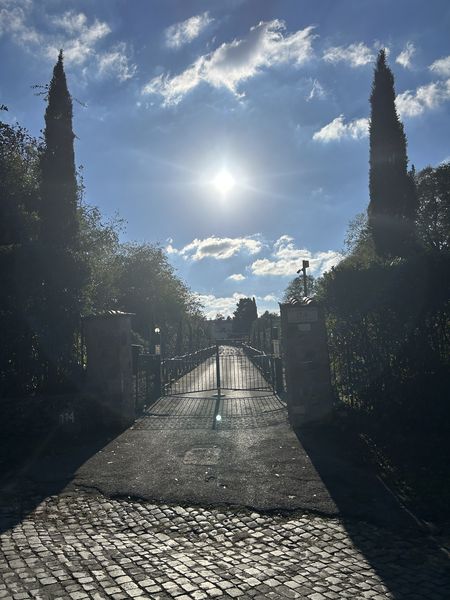 Bettina Trapl (535).jpg