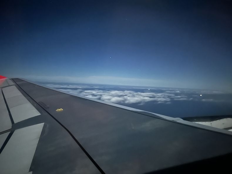 Bettina Trapl (549).jpg