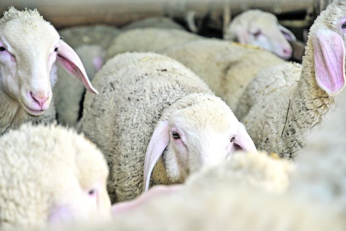 [1763465510304455_1.jpg]