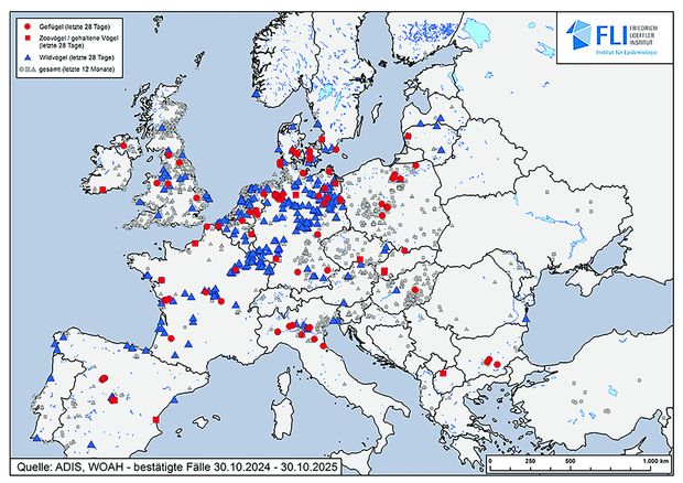 [1763468339089190_7.jpg]