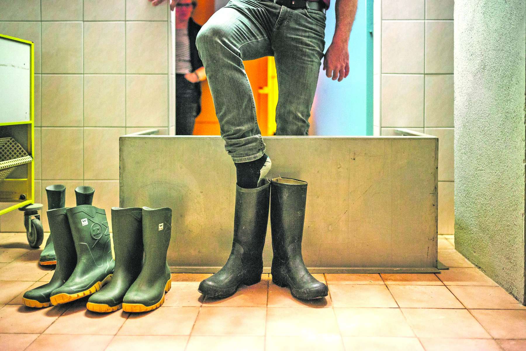 Stallhygiene .jpg © AMA-Marketing