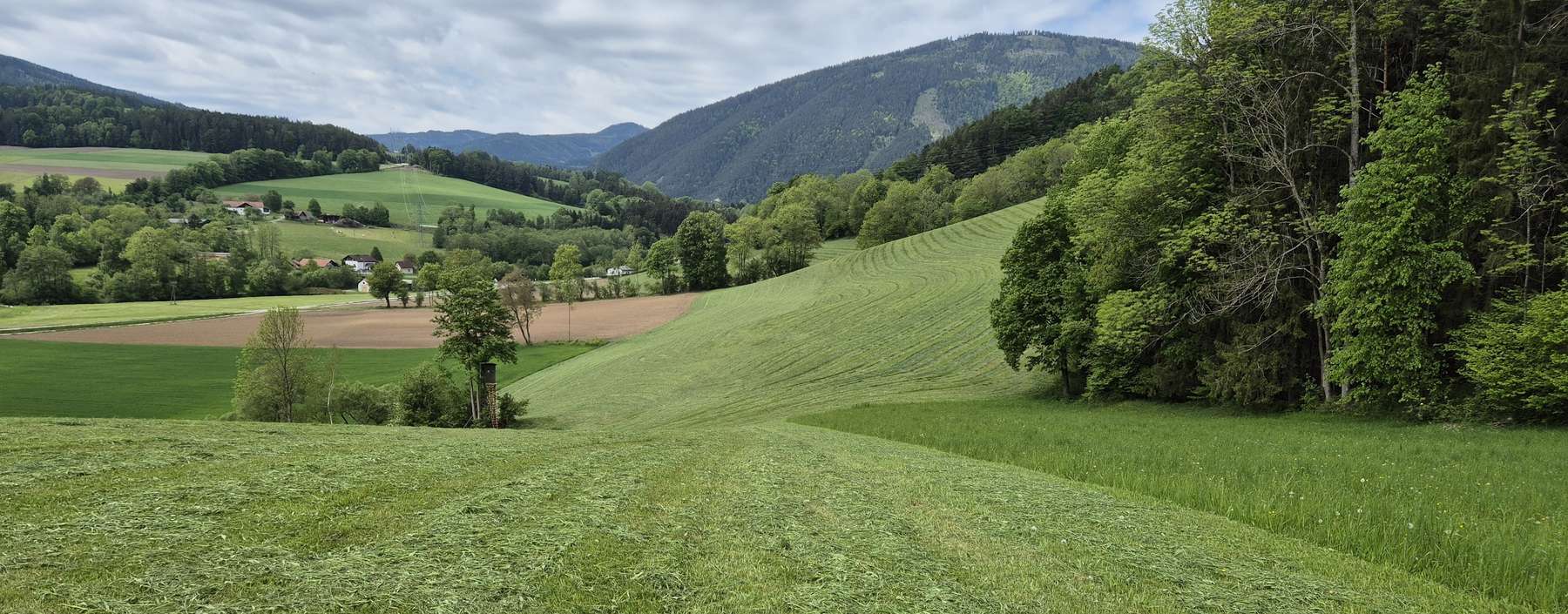 Direktzahlungen und Zahlung für Junglandwirtinnen und Junglandwirte jpg © Nothnagel/LKÖ