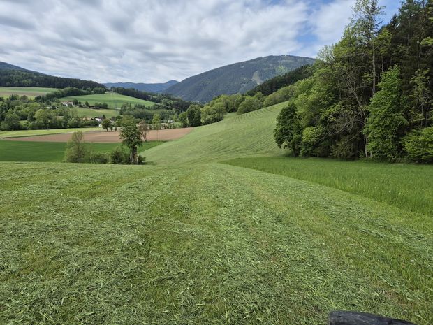 [176353470548530_7.jpg]