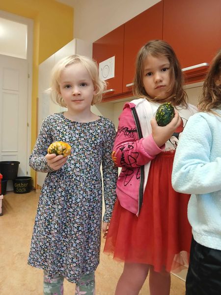 VS Groß Gerungs5.jpg VS Groß Gerungs5.jpg