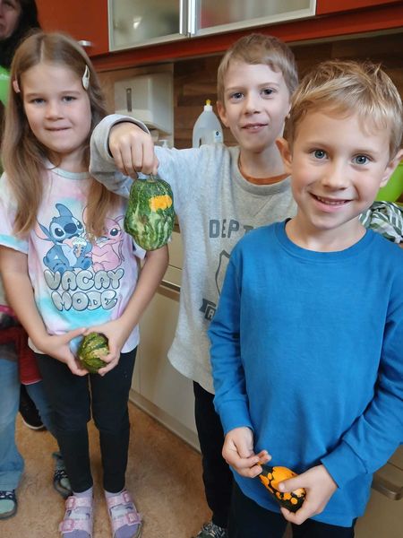 VS Groß Gerungs8.jpg