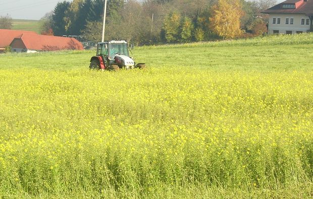 [1763545957371362_7.jpg]