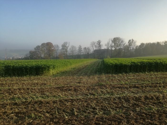 [1763546079710871_1.jpg]