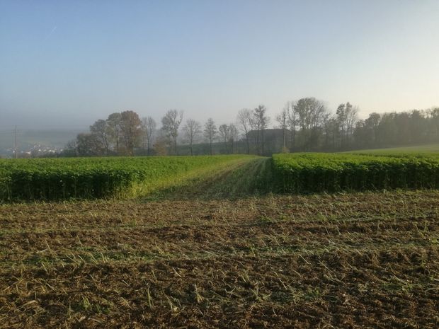 [1763546079710871_7.jpg]