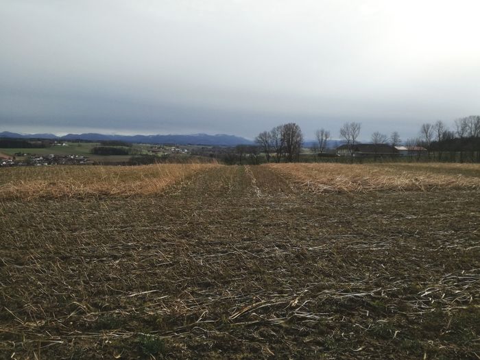 [1763546196487853_1.jpg]