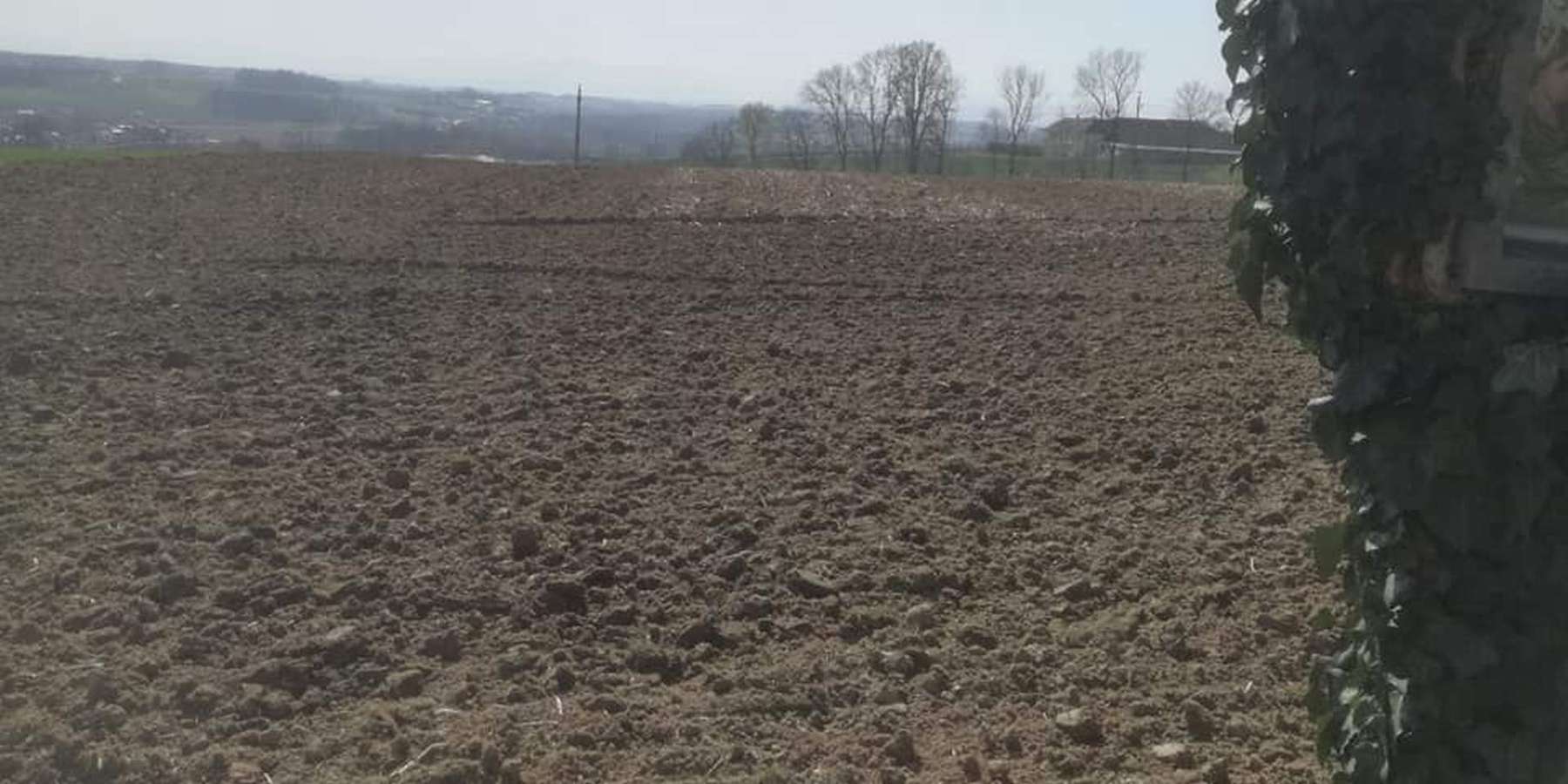 3 Begrünung gehäckselt.jpg © BWSB/Wallner