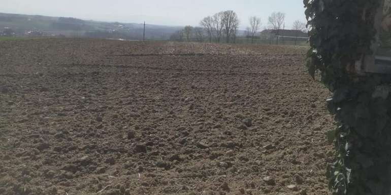 3 Begrünung gehäckselt.jpg © BWSB/Wallner