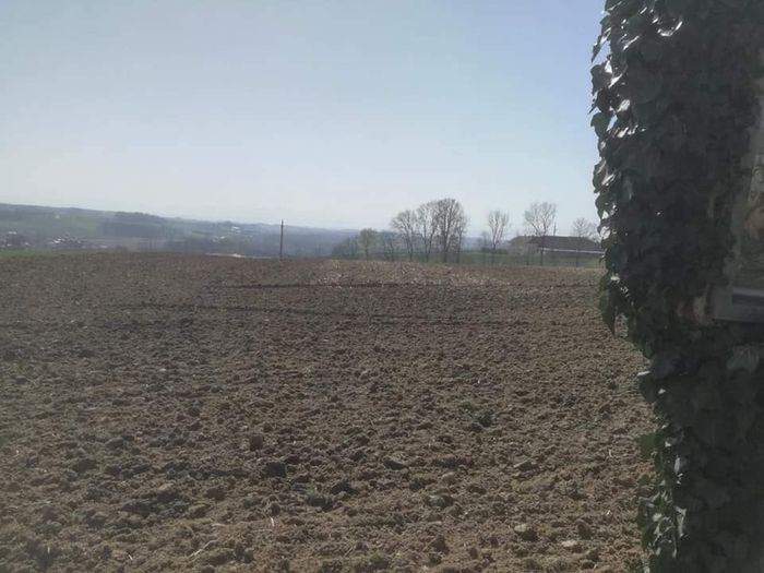 [1763546313657934_1.jpg]