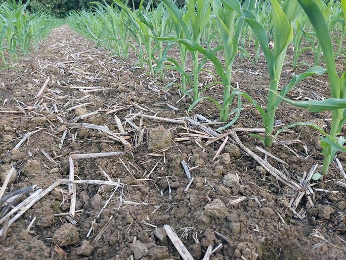 [1763546401534490_1.jpg]