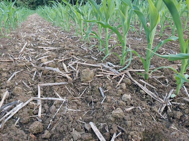 [1763546401534490_7.jpg]