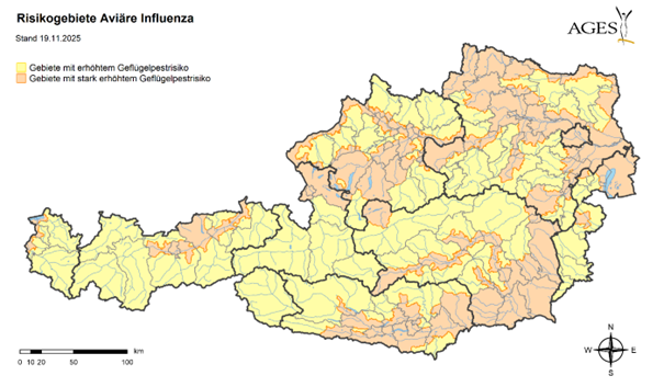 [1763625779080952_1.png]