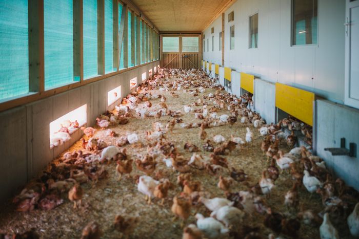 [1763626130787912_1.jpg]