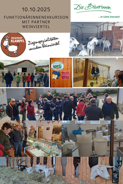 [1763743260105524.png]