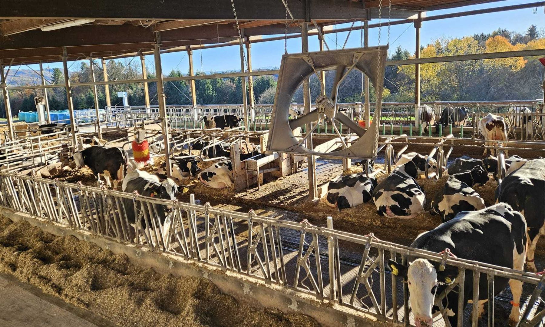 EDF-Treffen.jpg © Haring