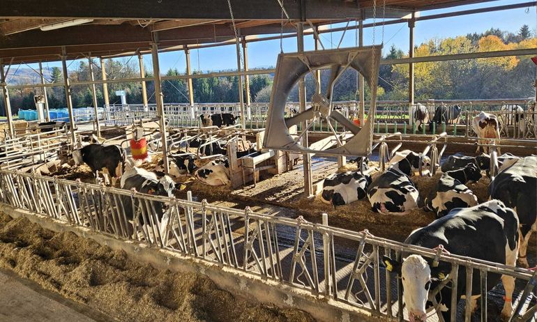 EDF-Treffen.jpg © Haring