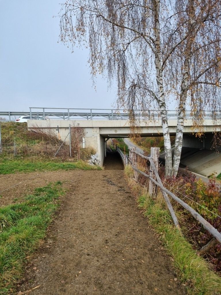 AK Milch-Lehrfahrt.jpg © Johanna Mandl/LK Niederösterreich