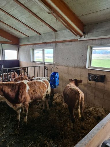 20251108_111048 (3).jpg © Staudinger