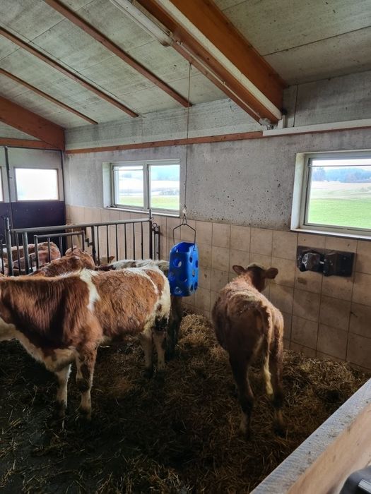 [1764072358828442_1.jpg]