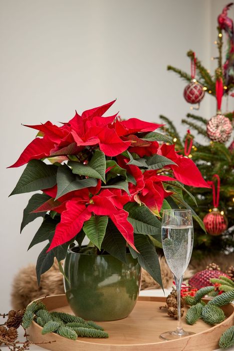 [176414580987155_1.jpg]