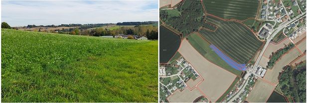 [1764146124378632_7.jpg]