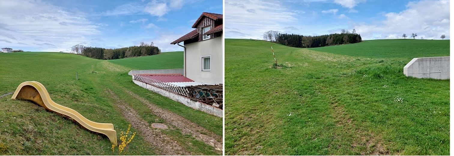 Schlagteilungen_artenreicher Zwischenfruchtbau.jpg © BWSB/Wallner