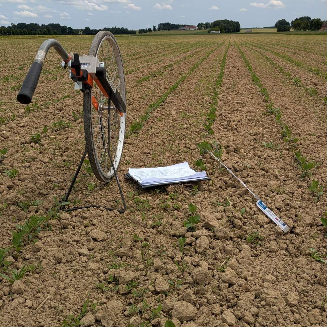 Bonitur am 05.06.2025.jpg © BWSB/Lang