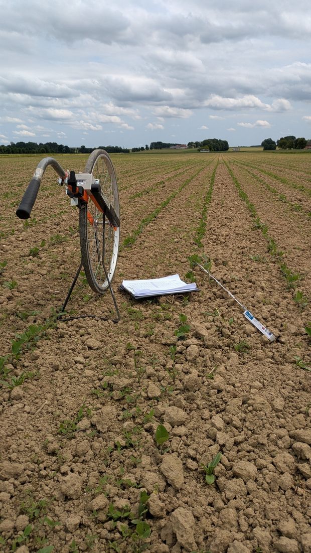 [1764157926579766_7.jpg]