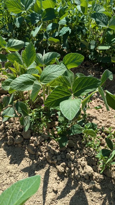 [1764157954008276_1.jpg]