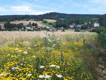 .jpg © Bienenzentrum OÖ