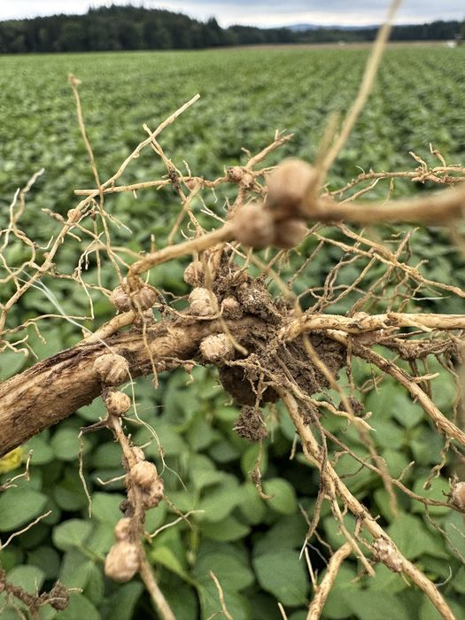 [1764234268853734_1.jpg]