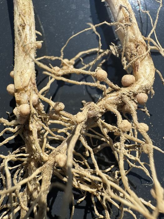 [1764234352652826_1.jpg]