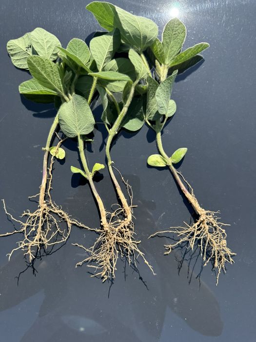 [1764234387558899_1.jpg]