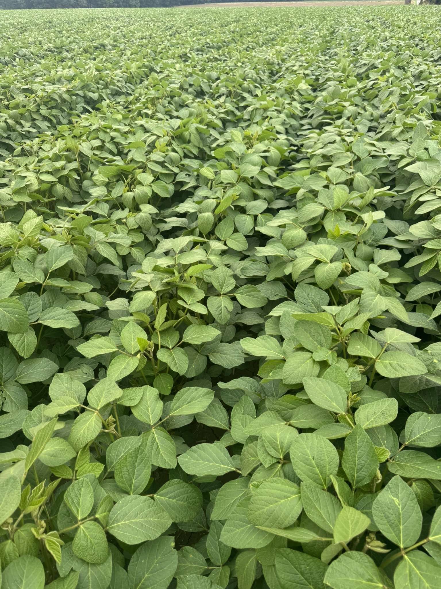 Bestand am 21. Juli 2025.jpg © BWSB/Gerstl