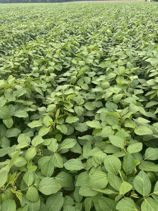 [1764234413475937_1.jpg]