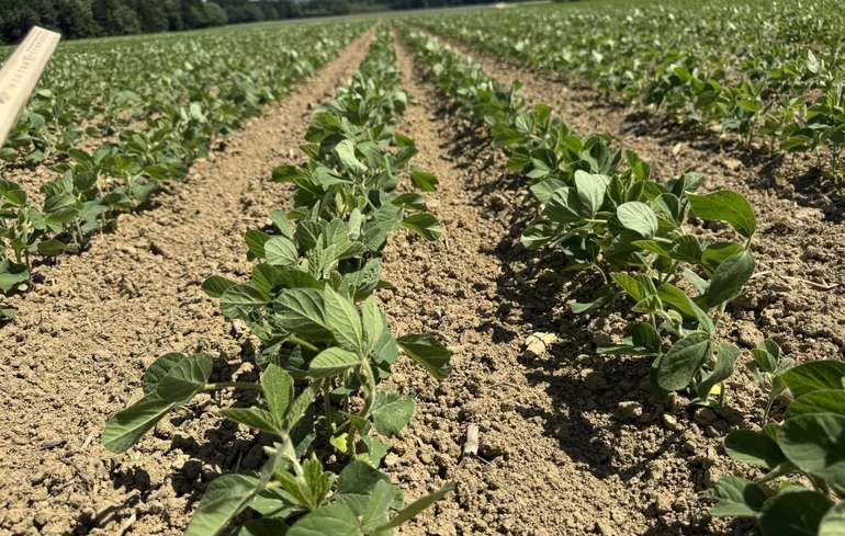 Bestand am 24. Juni 2025.jpg © BWSB/Gerstl