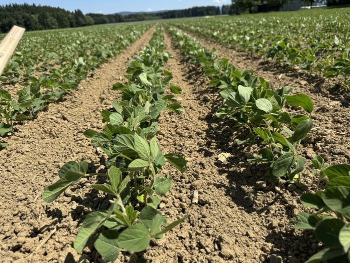 [1764234435999447_1.jpg]