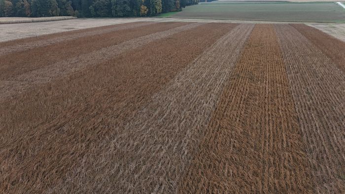 [1764234522899831_1.jpg]