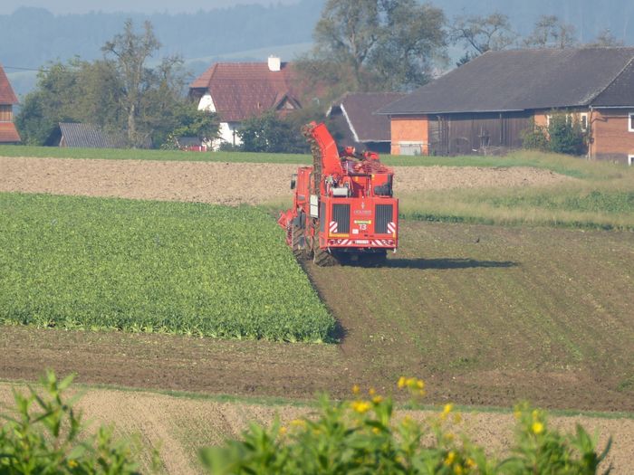 [176424778707941_1.jpg]