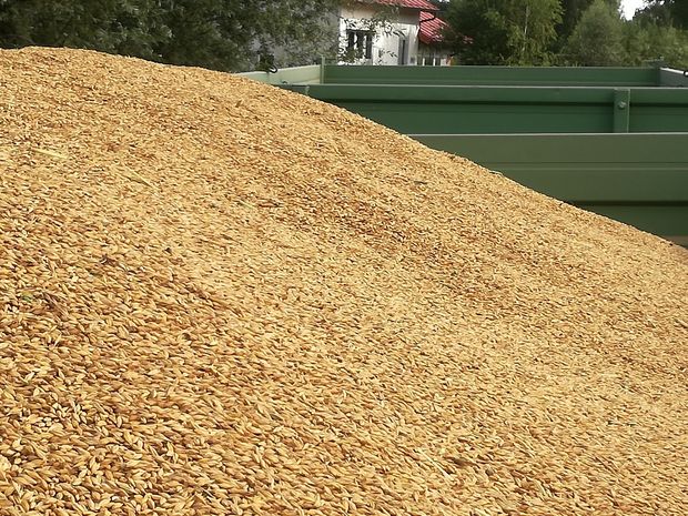 [1764247839519881_7.jpg]