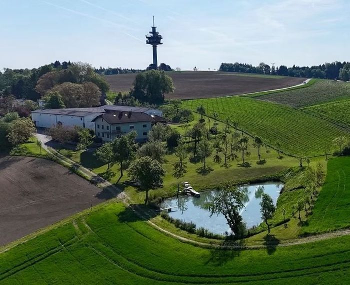 [1764578239059619_1.jpg]