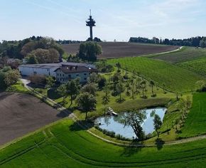 [1764578239059619_5.jpg]