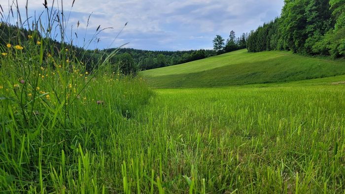 [1764578240803893_1.jpg]