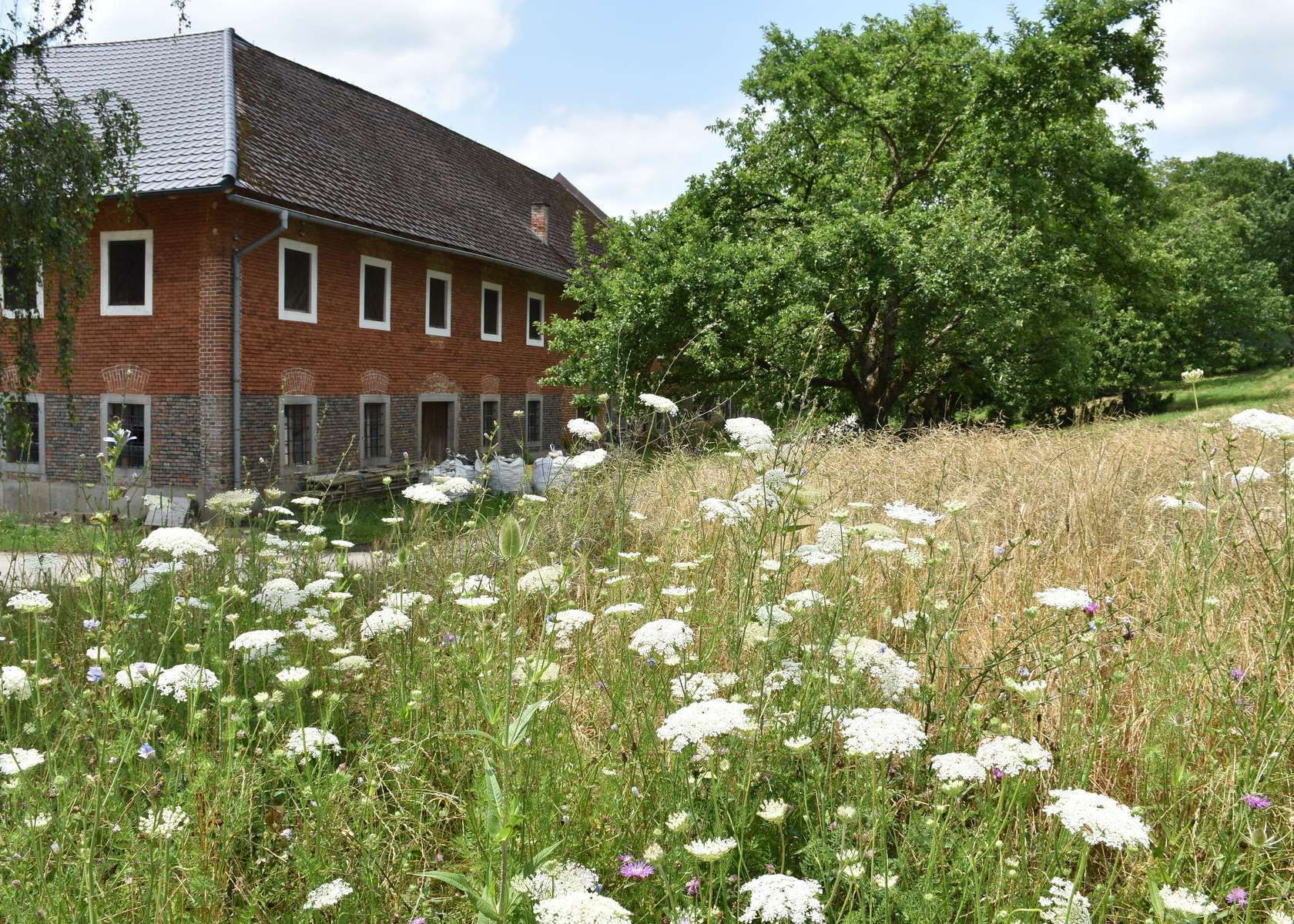 .jpg © Bienenzentrum OÖ