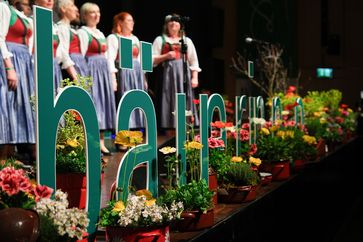 [176492004952117.jpg]