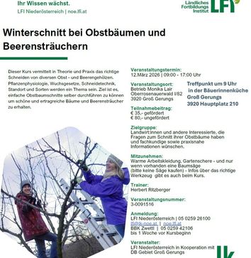 [1765434919663916.jpg]